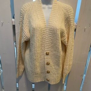 American Eagle Cardigan